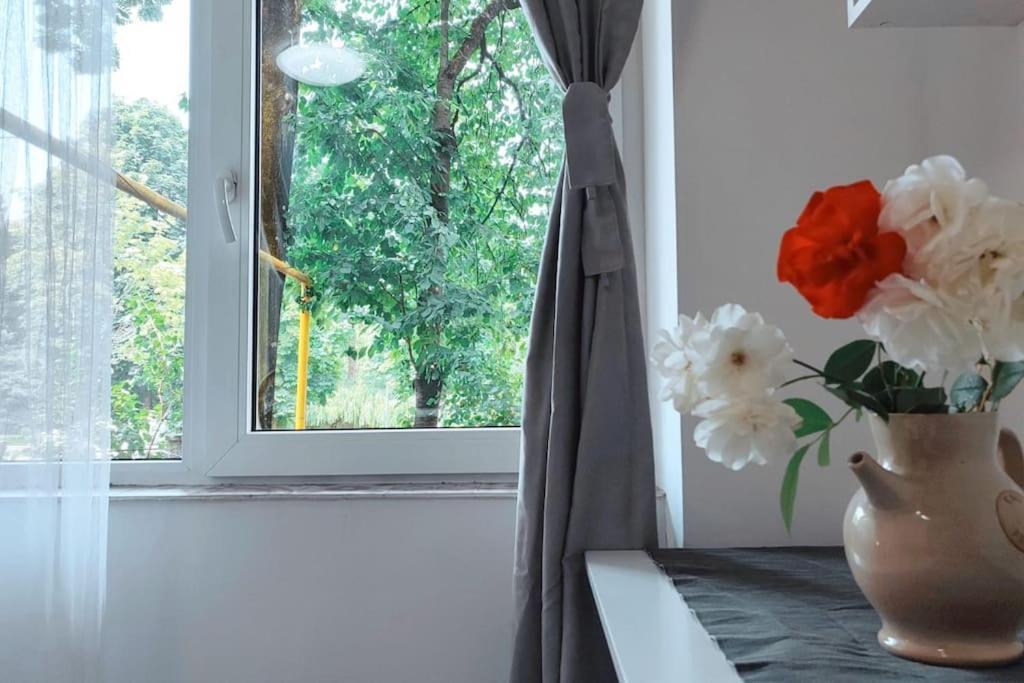 Appartamento Park Cluj-Napoca